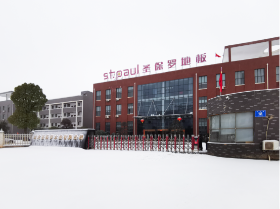 堅毅奮進 鏟雪同行——湖北圣保羅木業風雪中的擔當