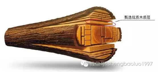 高“顏值”高內涵養成術（三） ——圣保羅實木地板
